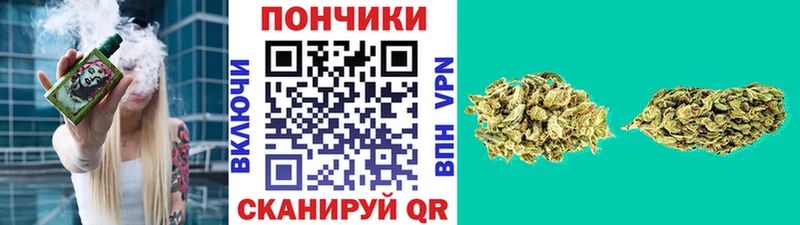 Канабис планчик  купить   Таганрог 